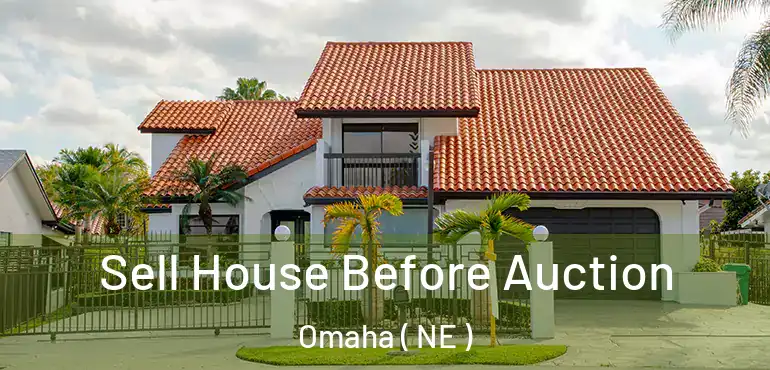  Sell House Before Auction Omaha ( NE )