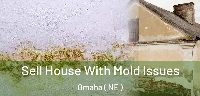  Sell House With Mold Issues Omaha ( NE )